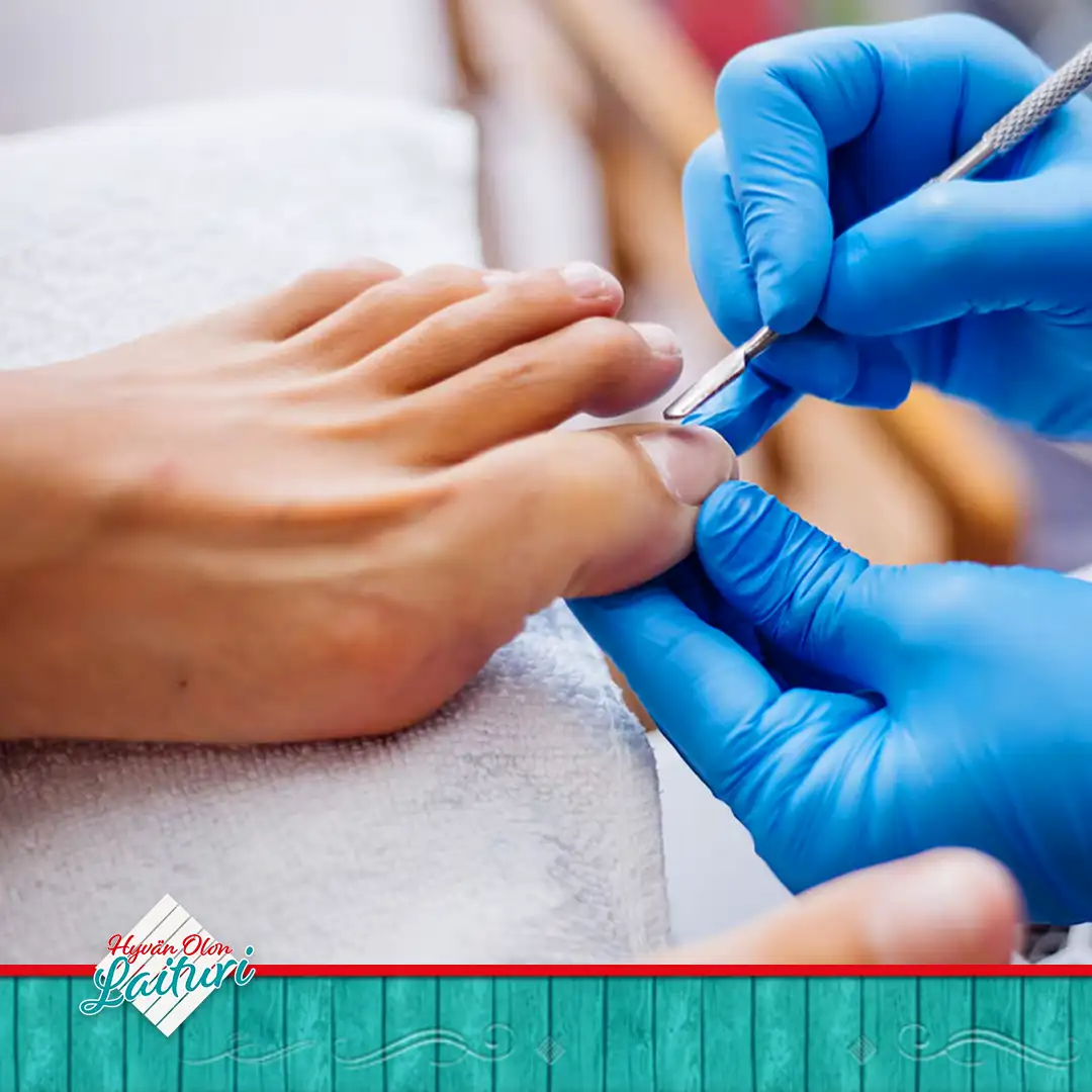 Jalkahoidot Content - Hyvän Olon Laituri tarjoaa laajan valikoiman hyvinvointipalveluja Kuopiossa.